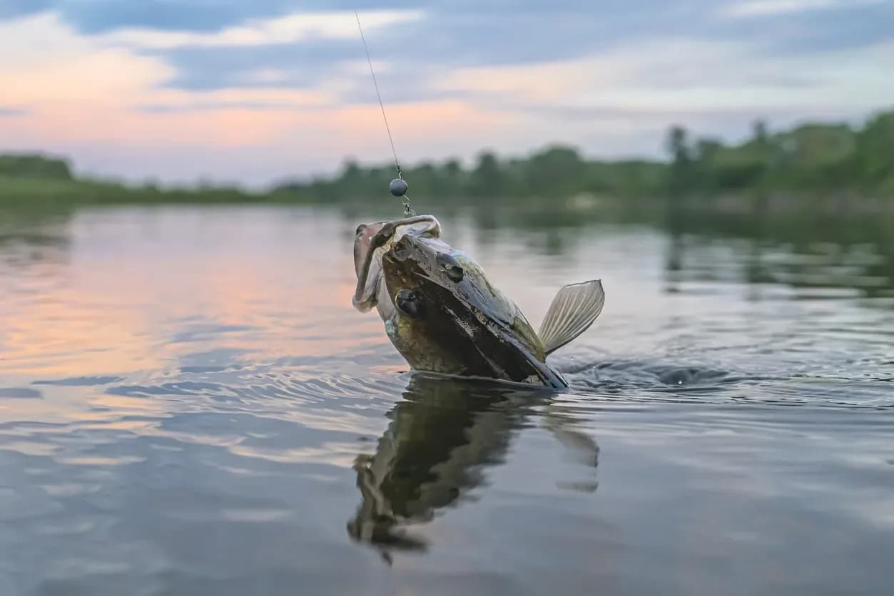 Lake Conroe Fishing Report – March 2021