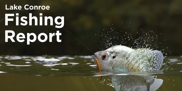 Fishing Forecast August 2021