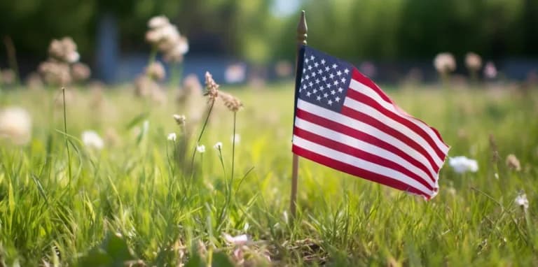 VA News