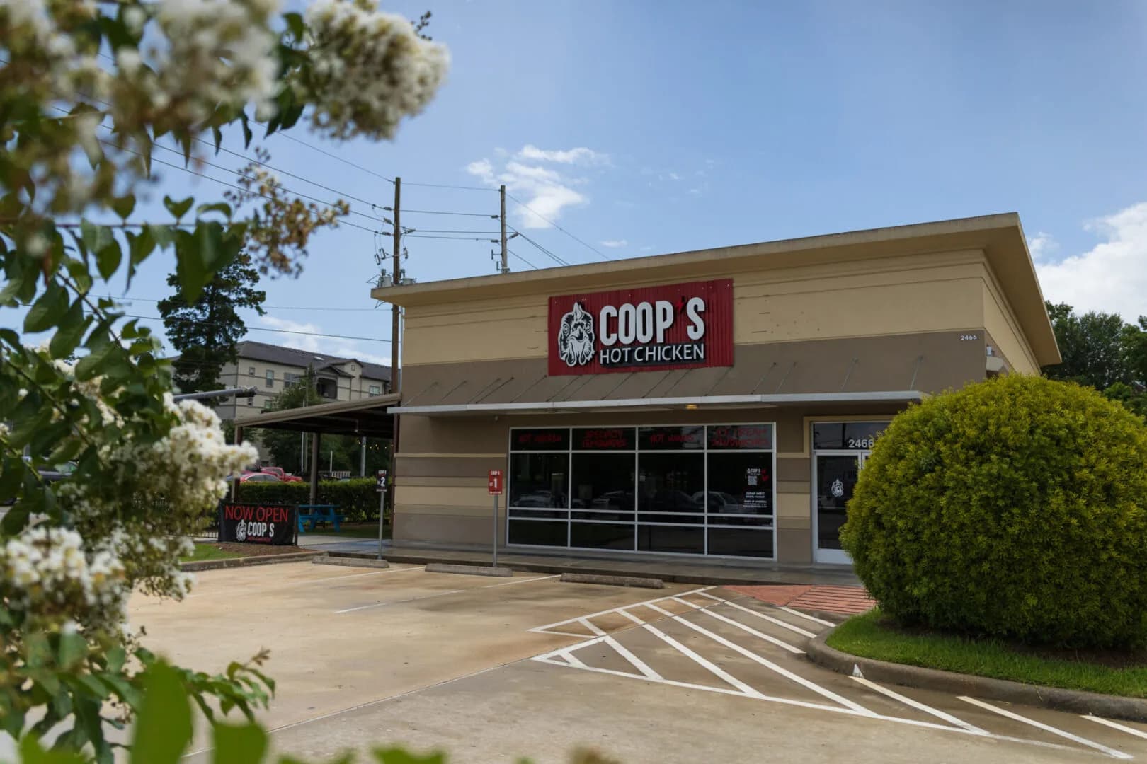 coops hot chicken