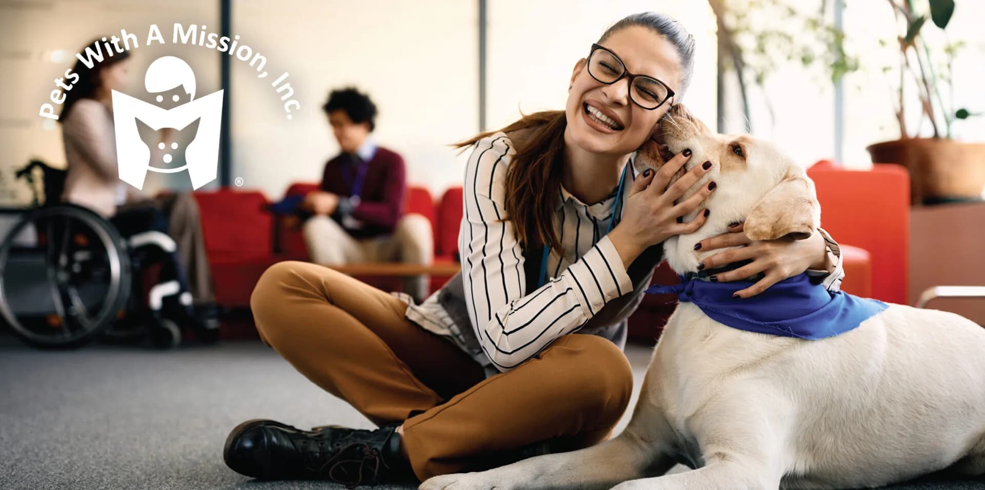 Therapy dog
