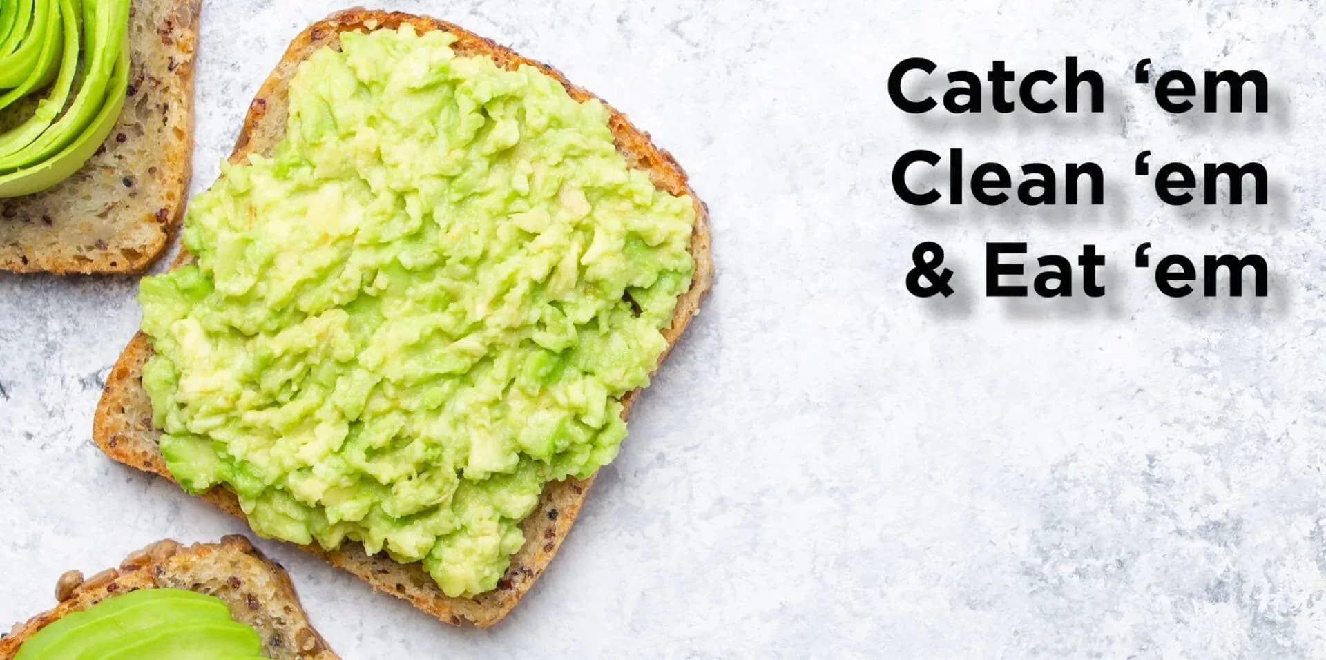 avocado toast Header Sept 23