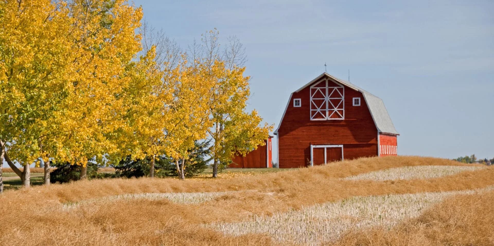 Graff Ranch Header Sept 23