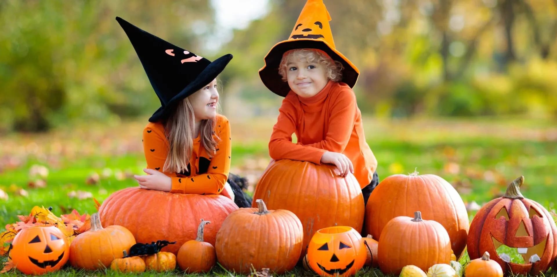Halloween CostumeOct 23