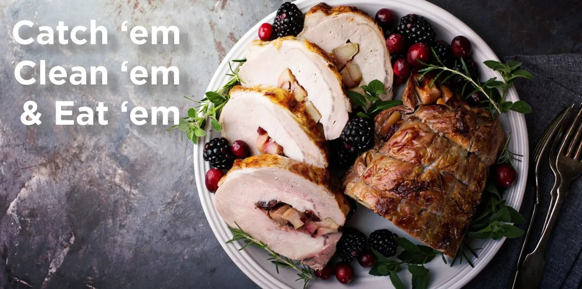 Catchem Dec 23 Header (1)
