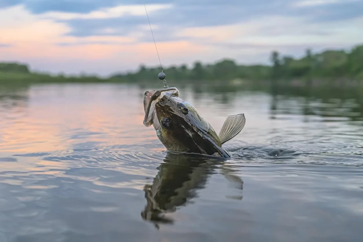 Lake Conroe Fishing Report – March 2021