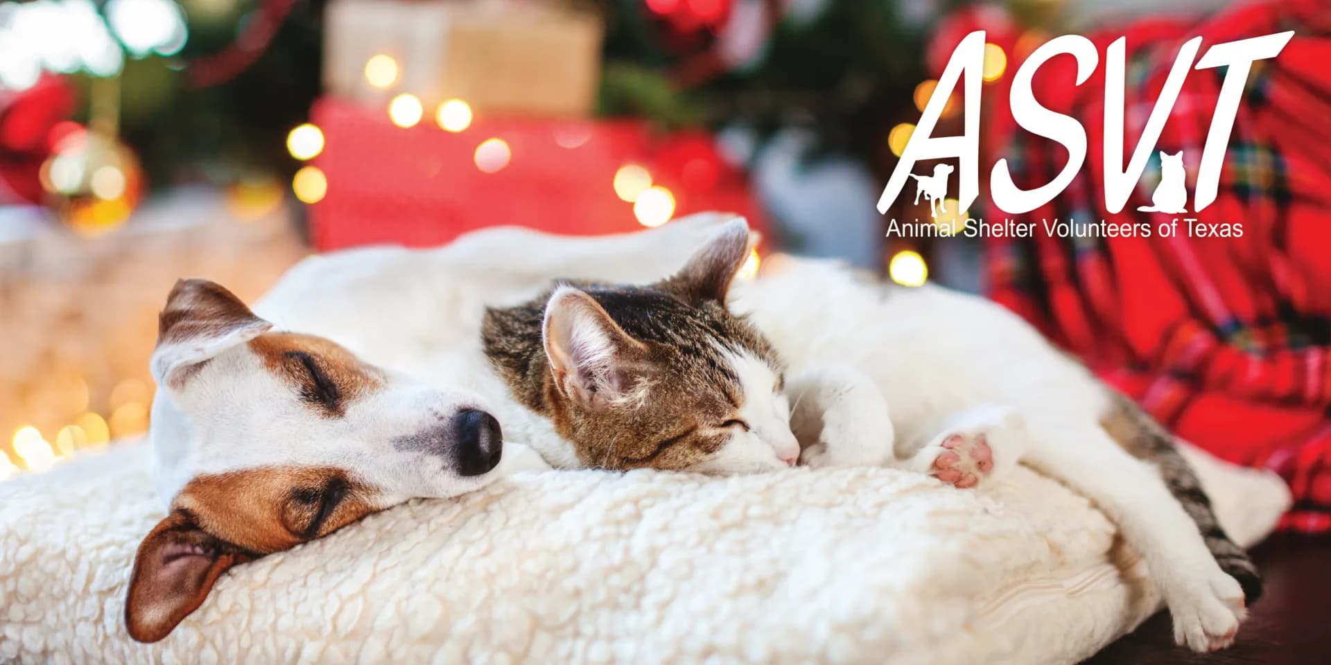 ASVT christmas-03
