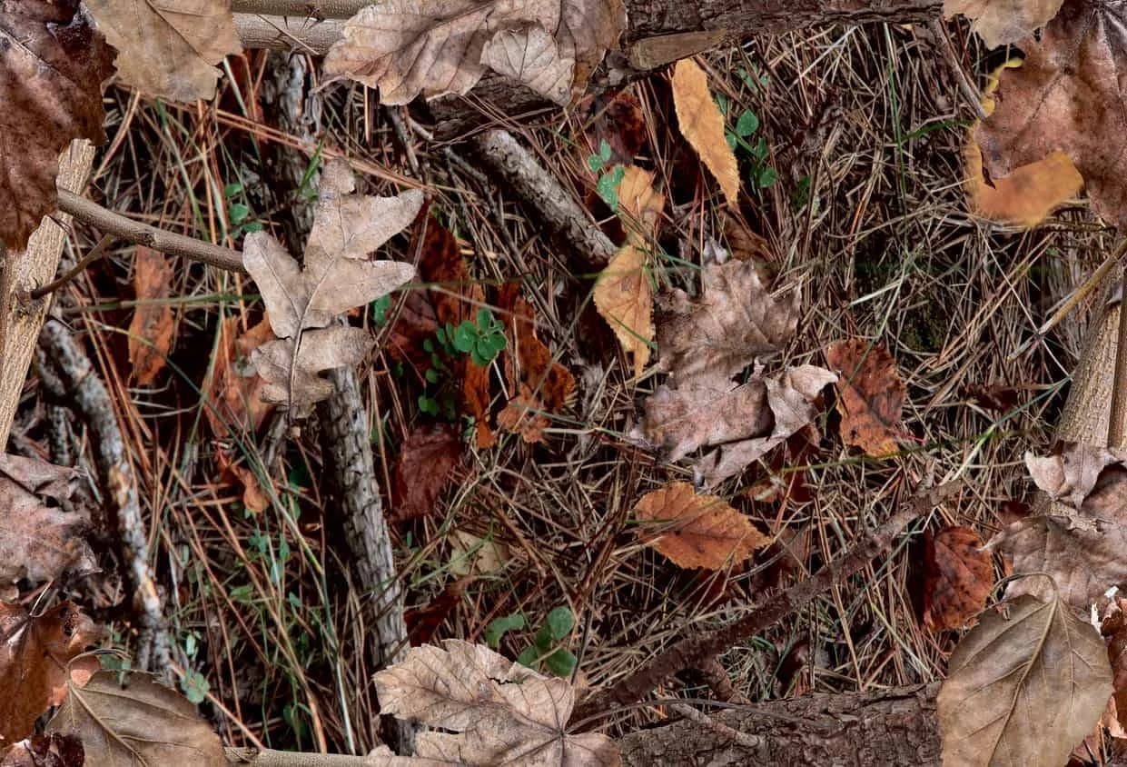 Camouflage is Cool!