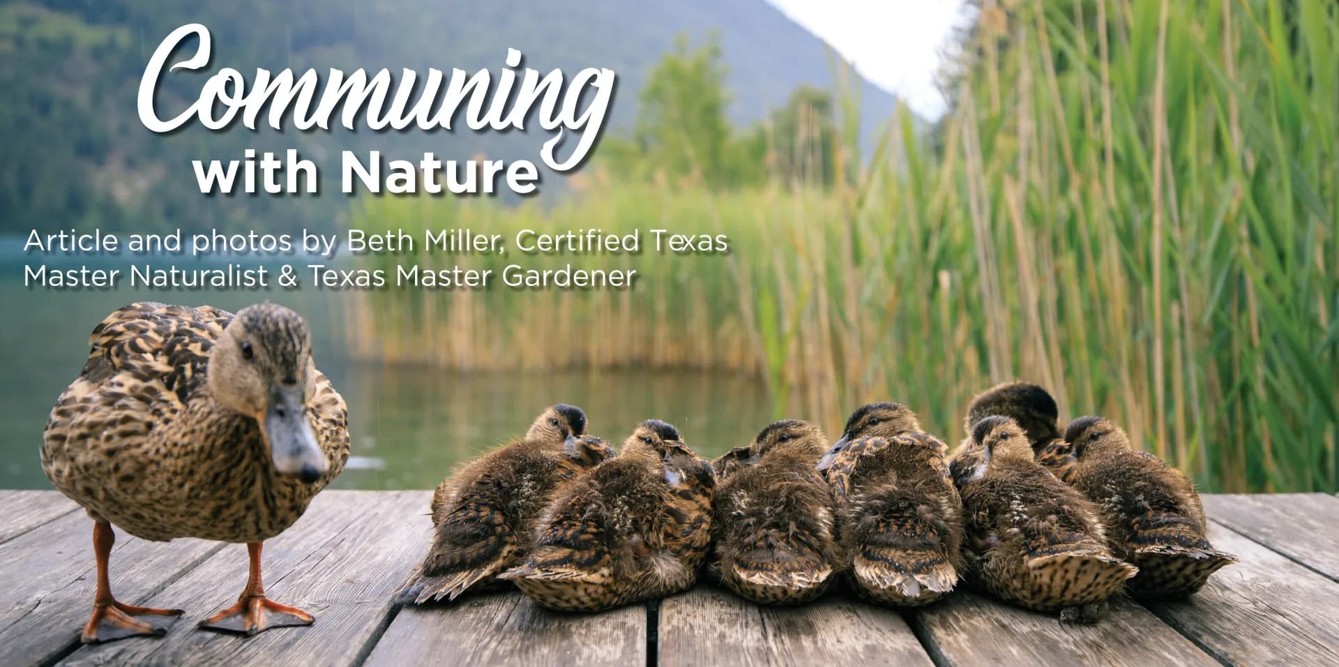 Communing with Nature5