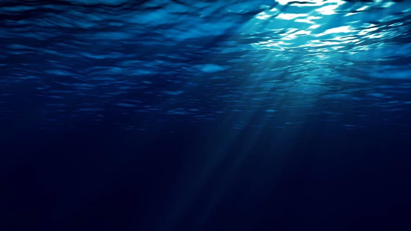 Creatures From the Deep March 2021