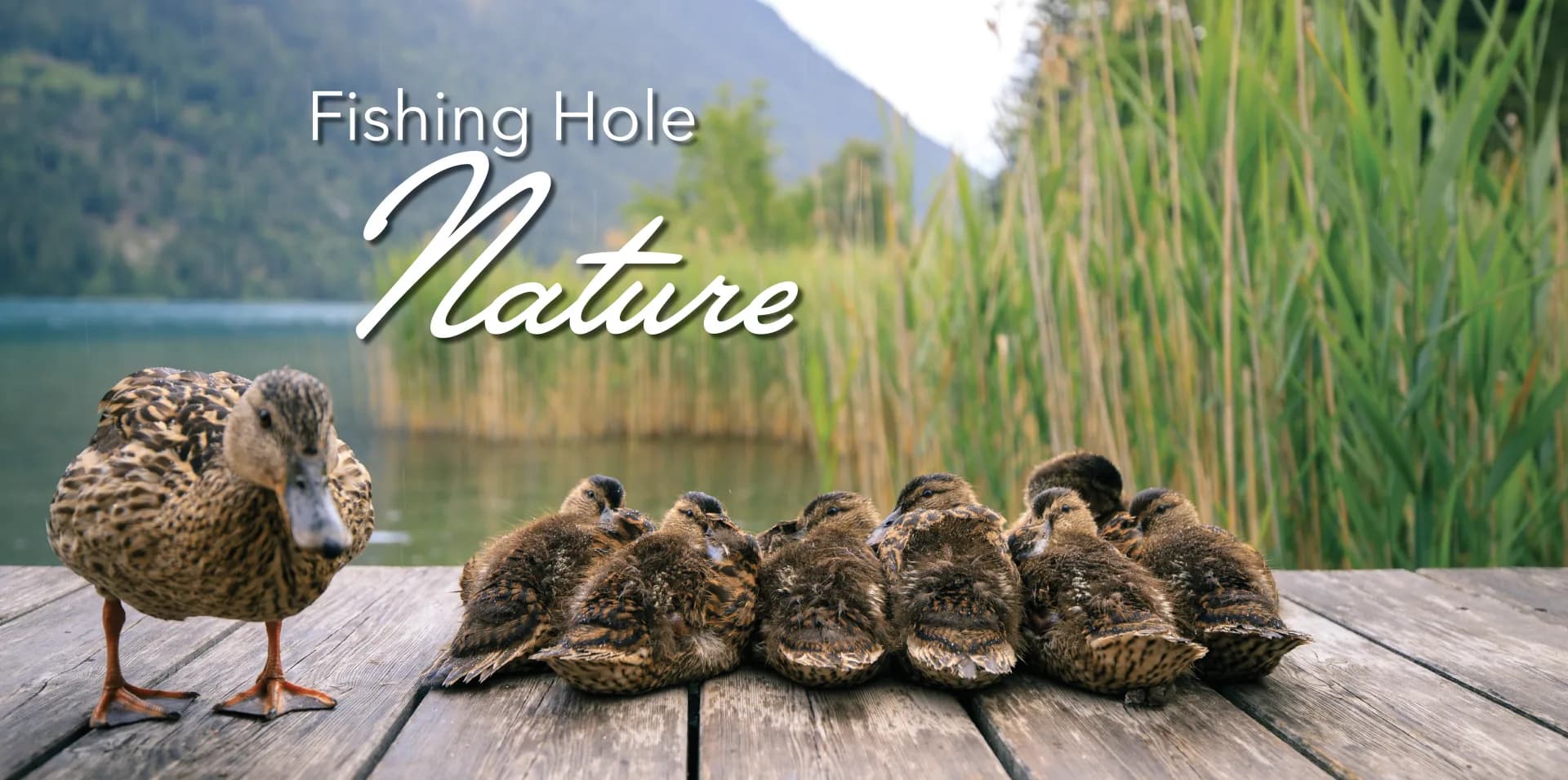 Fishing Hole Nature3