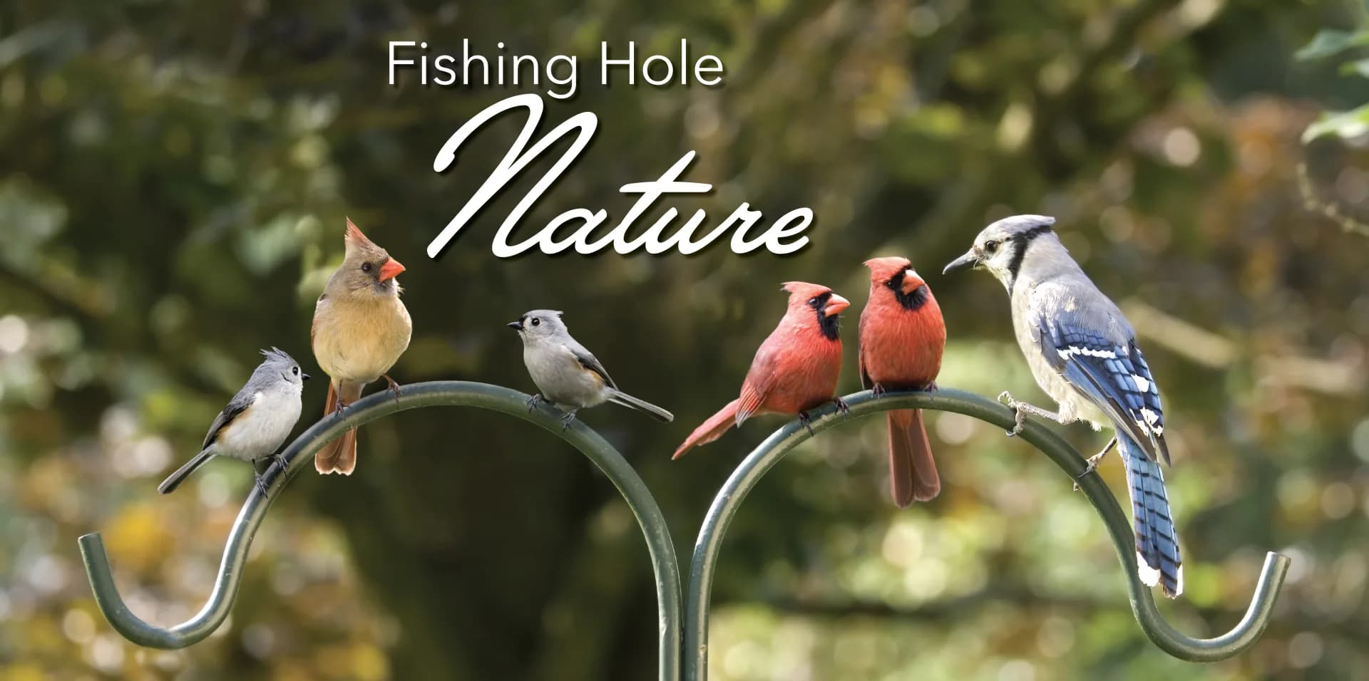 Fishing Hole Nature4