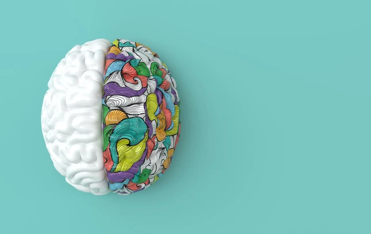 What Is Sensory Processing Disorder?