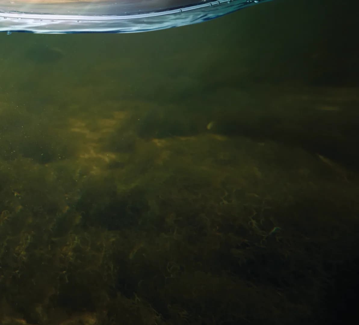 Creatures from the Deep-May 21