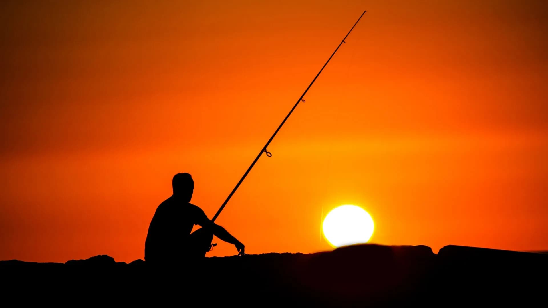 Fish News May 2021