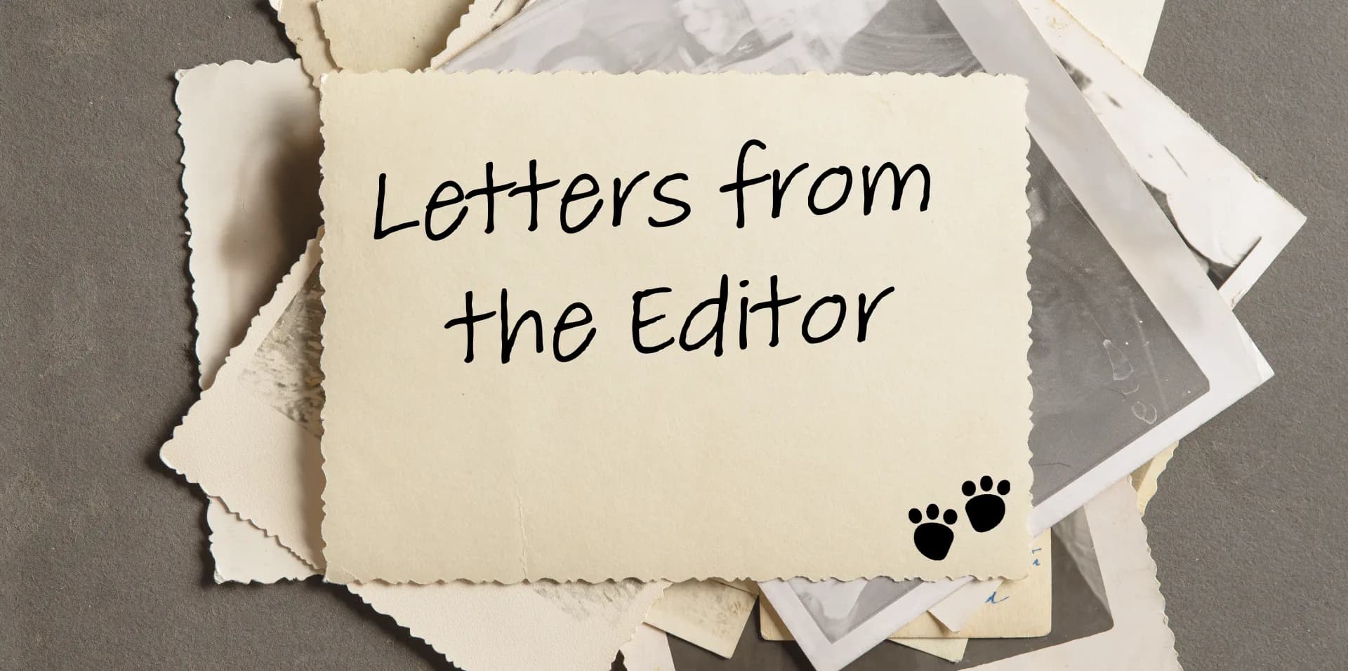 From The Editor 2-01