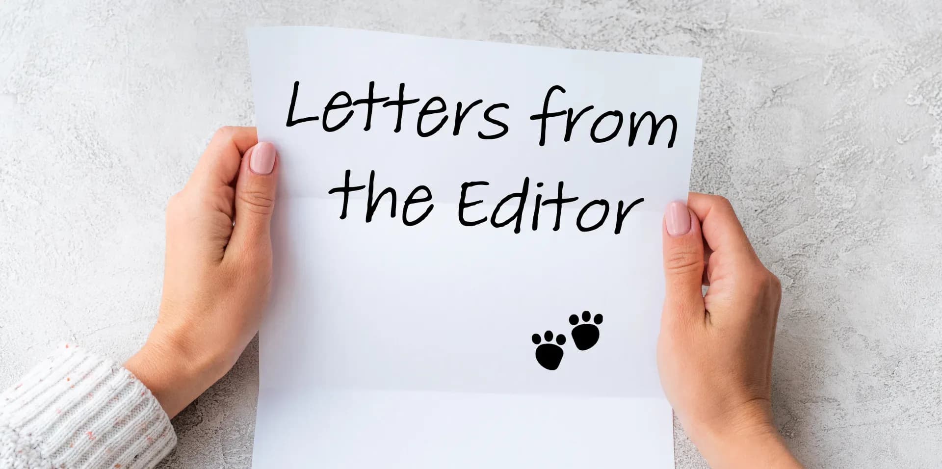 From The Editor 2-04