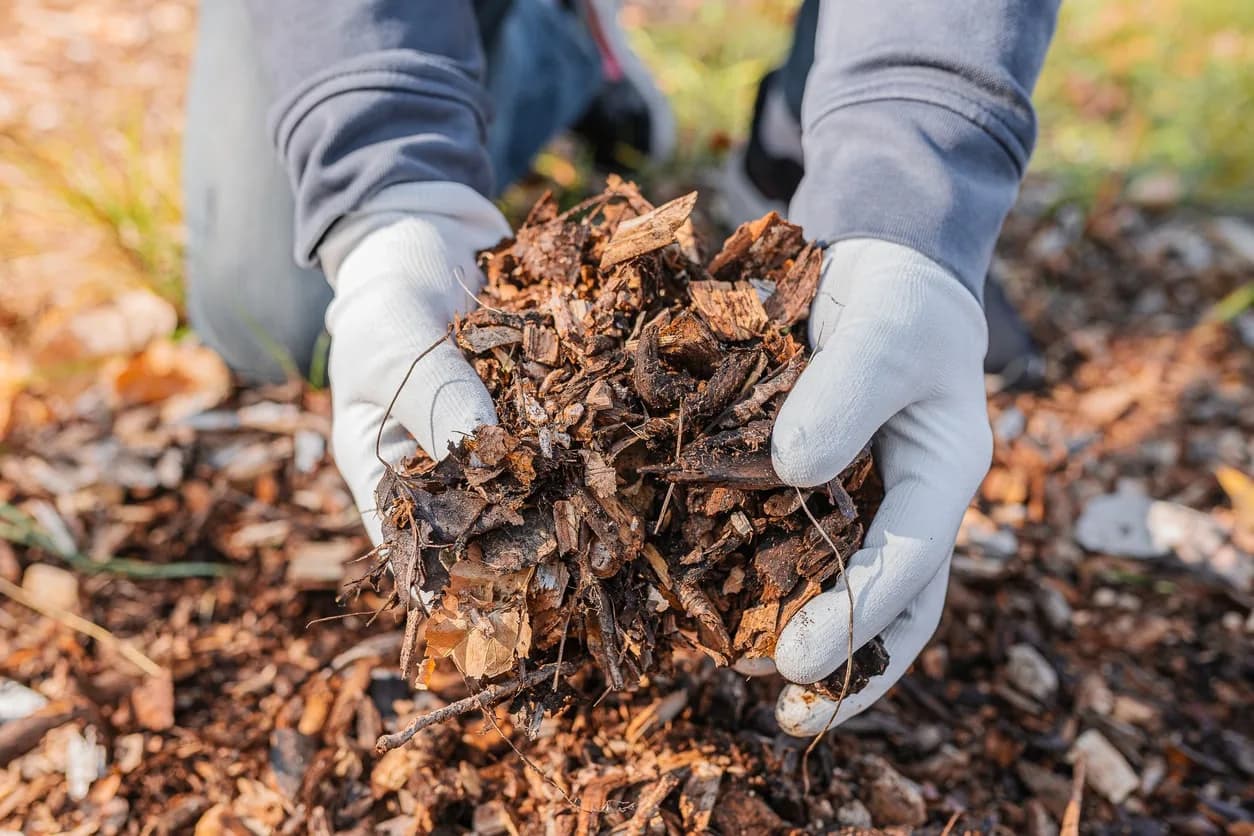 composting leaves