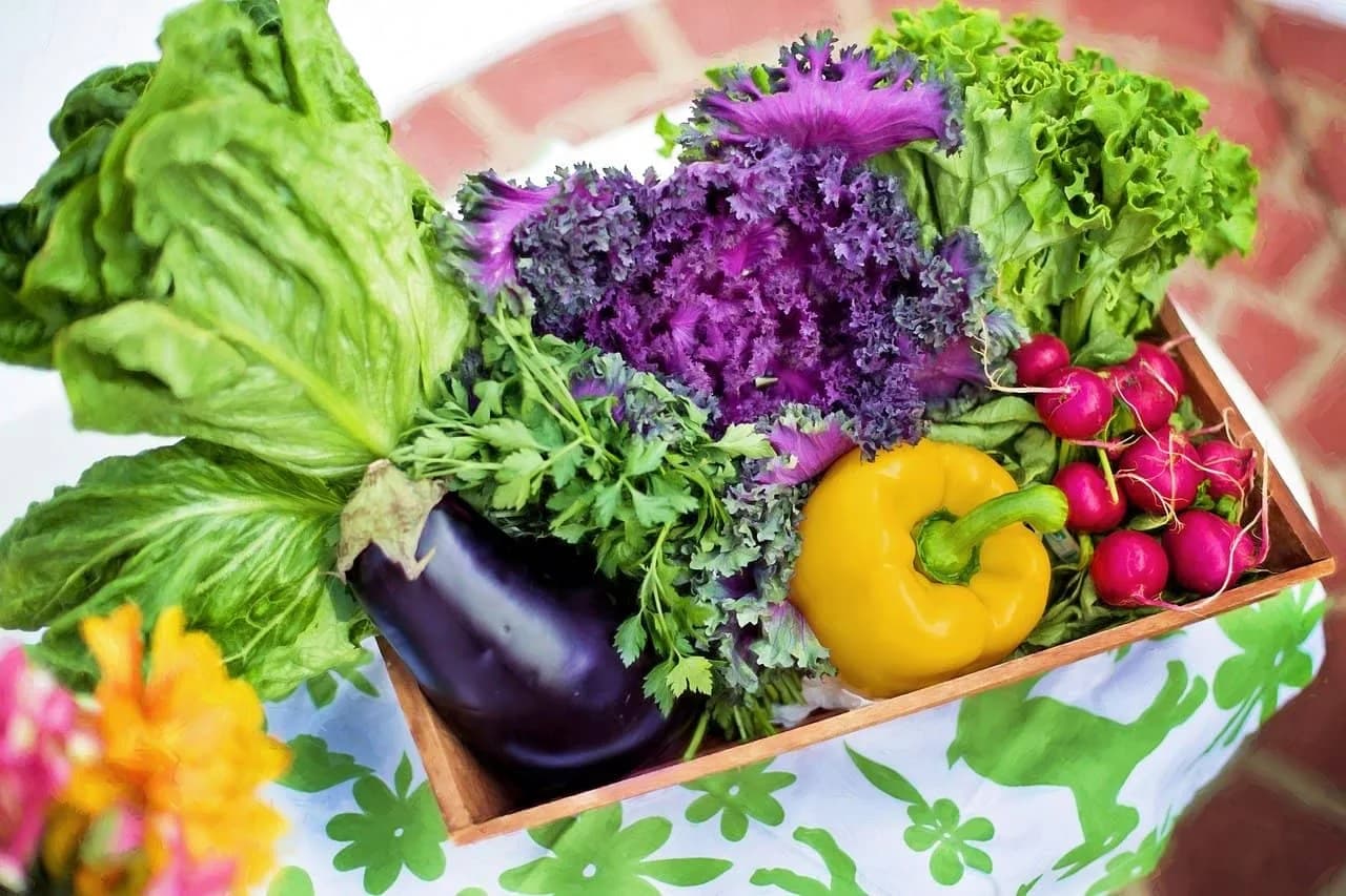 Thinking of a New Home Garden? Here’s How to Start One