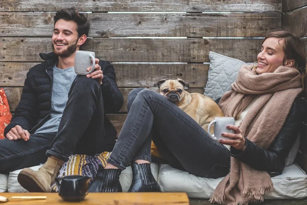 5 Reasons It’s the Best Time To Foster Pets If You Can Afford It