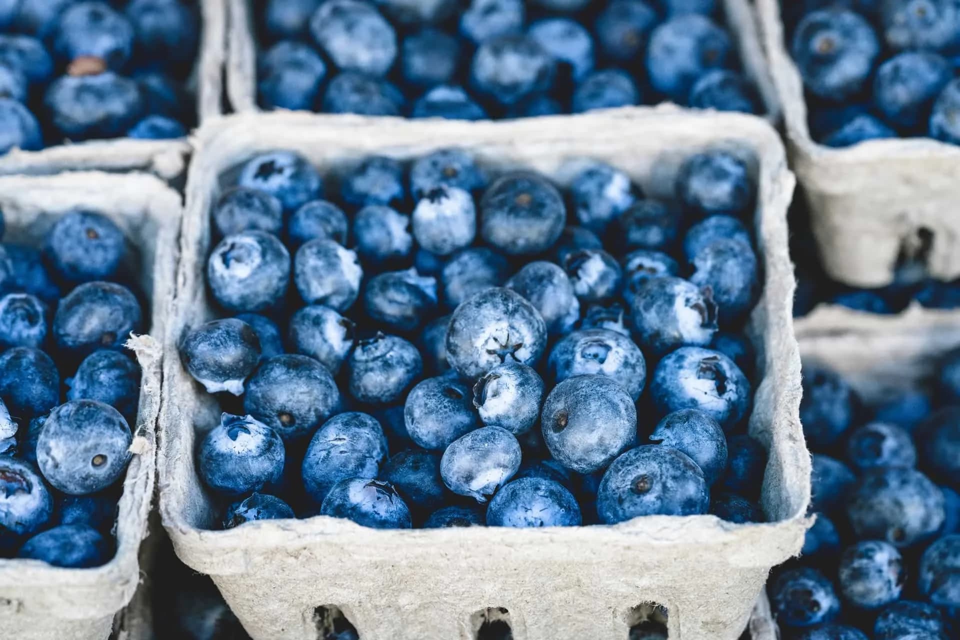 July is National Blueberry Month