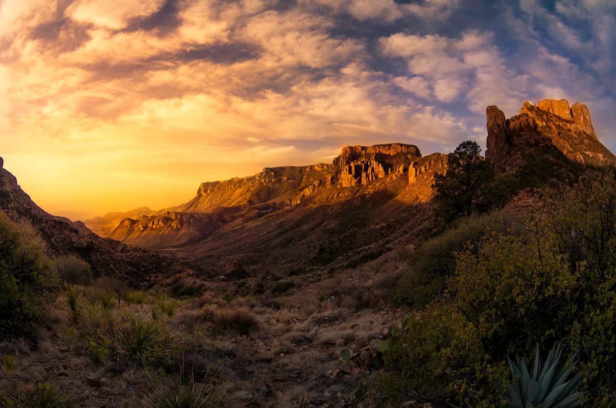 7 Reasons to Visit Big Bend National Park This Summer