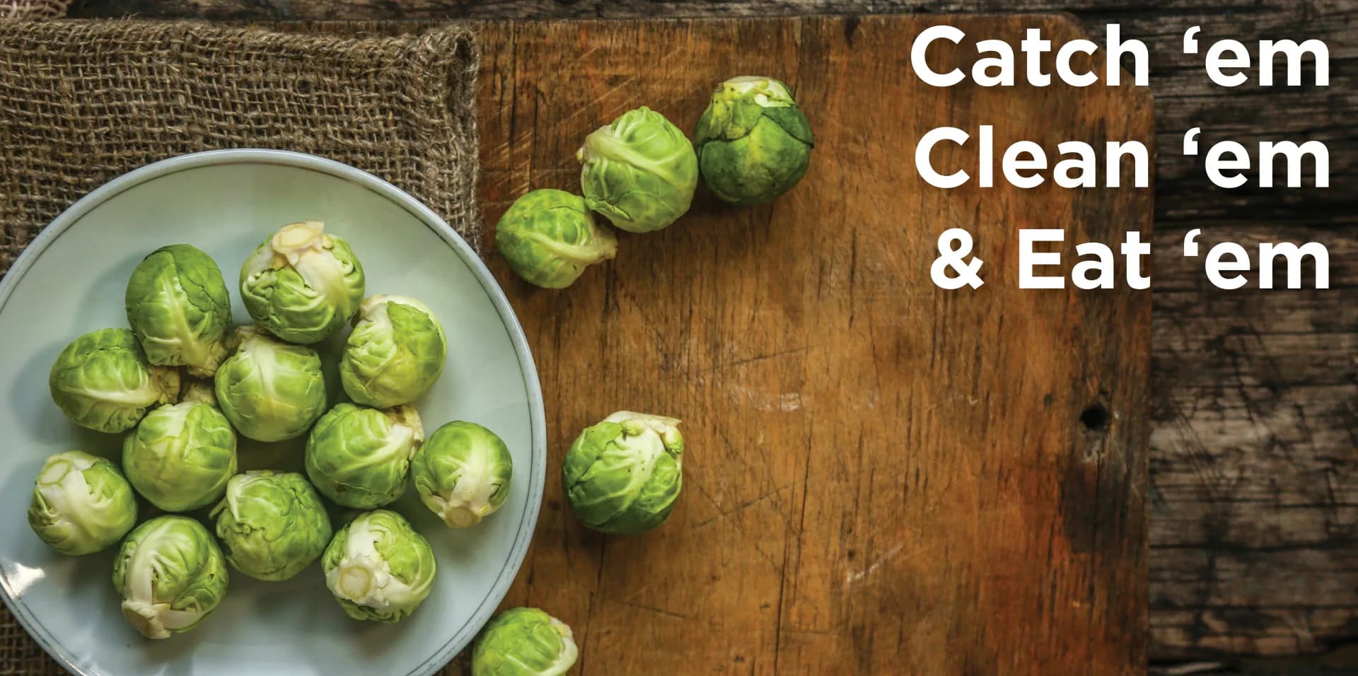 Brussel Sprouts
