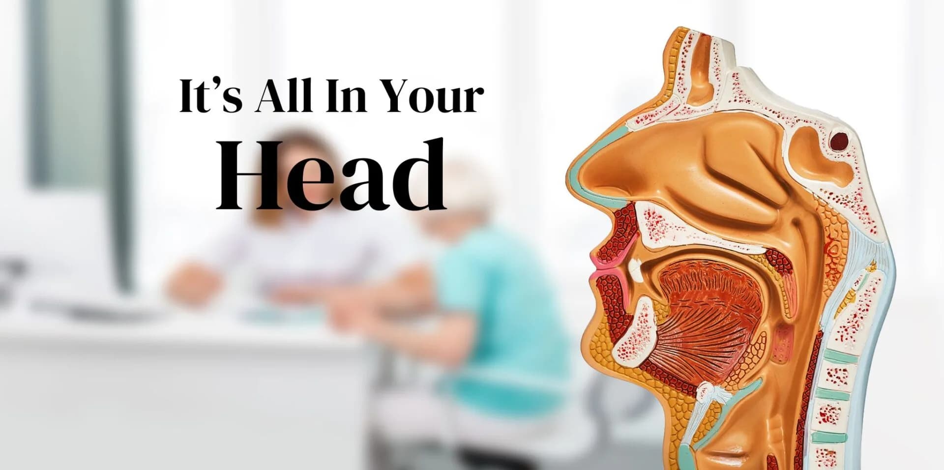 It's All in your Head Header