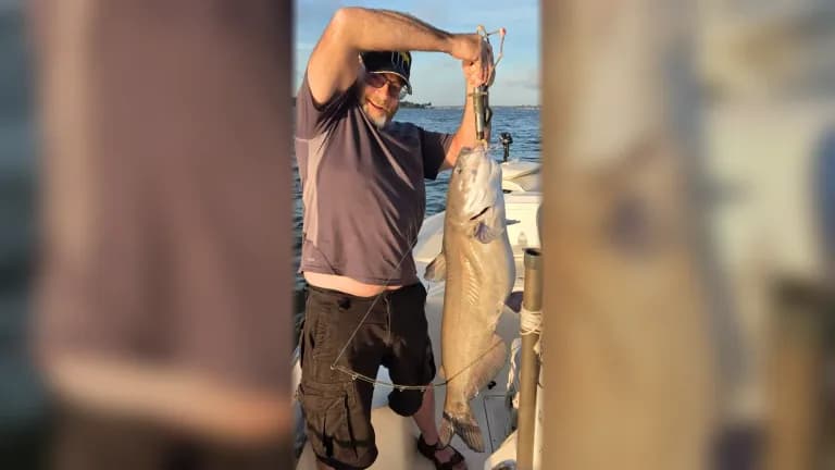01 FEATURED Allen Catfish