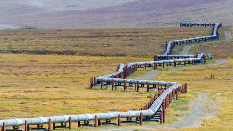 An elevated section of the Trans-Alaska oil pipeline