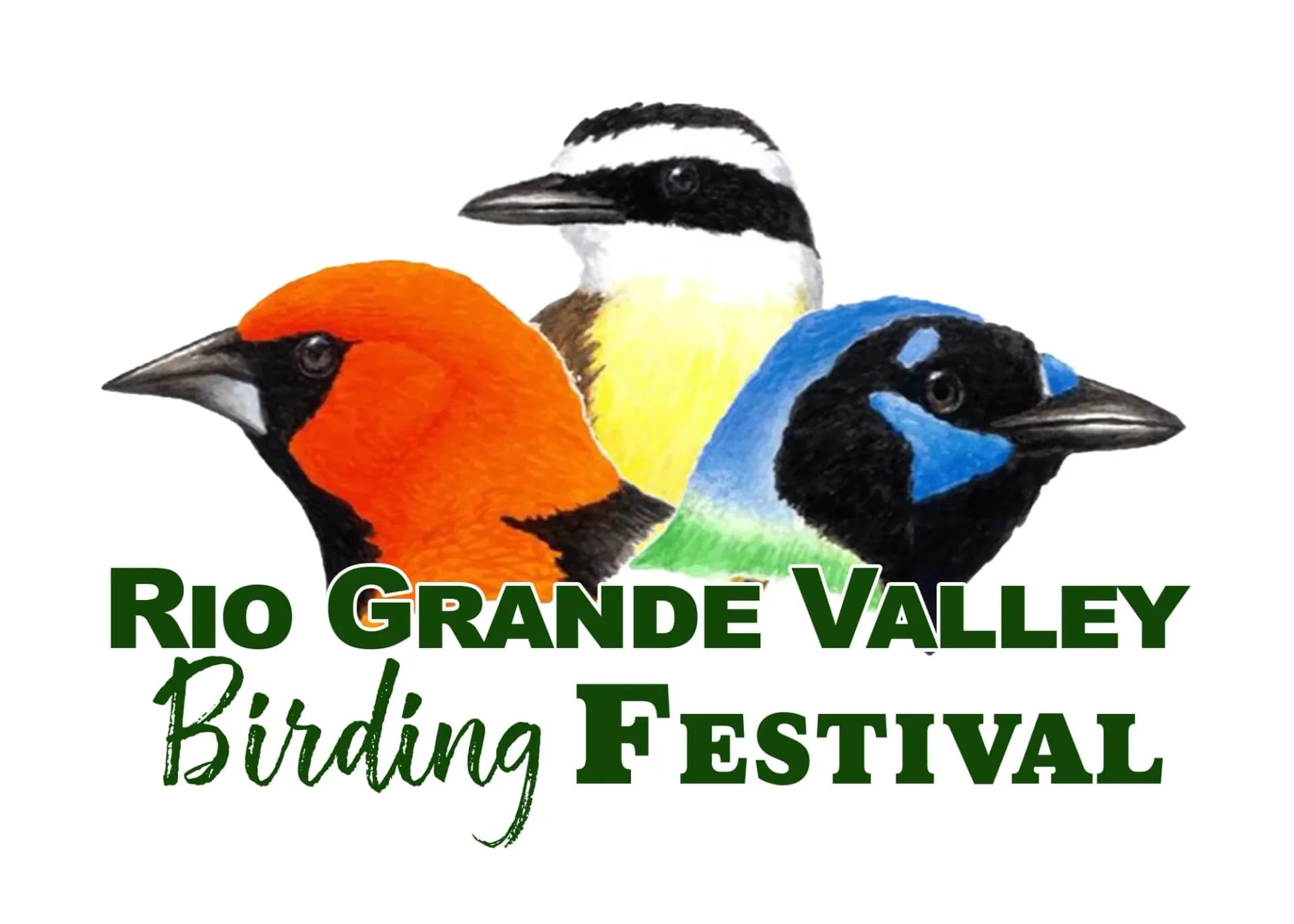 33rd Rio Grande Valley Birding Festival