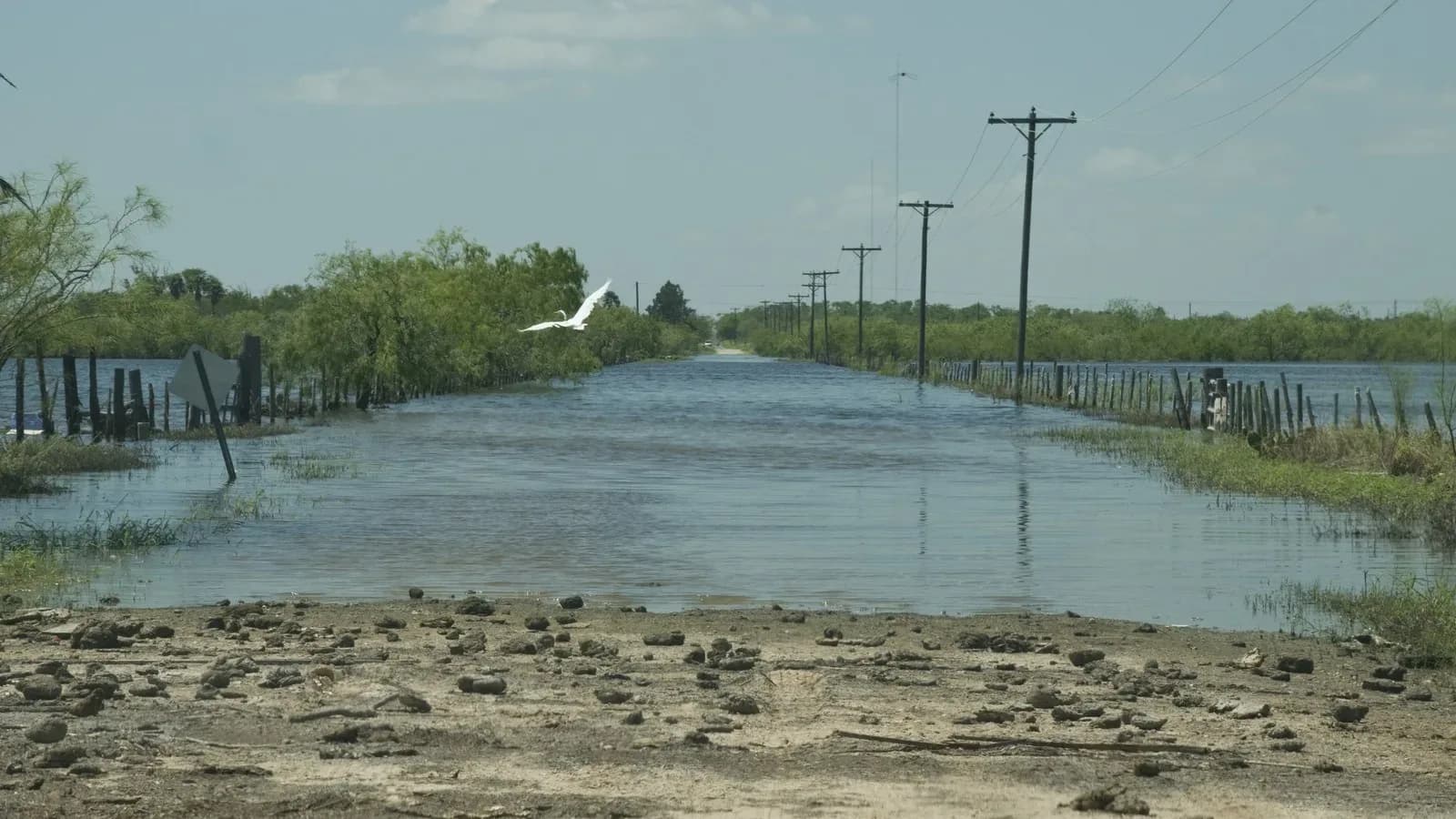 Water covering a road in Texas