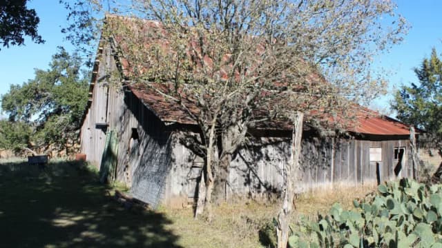 A weathered wooden barn with a rusted tin roof beside a bare tree and prickly pear at Herff Farm