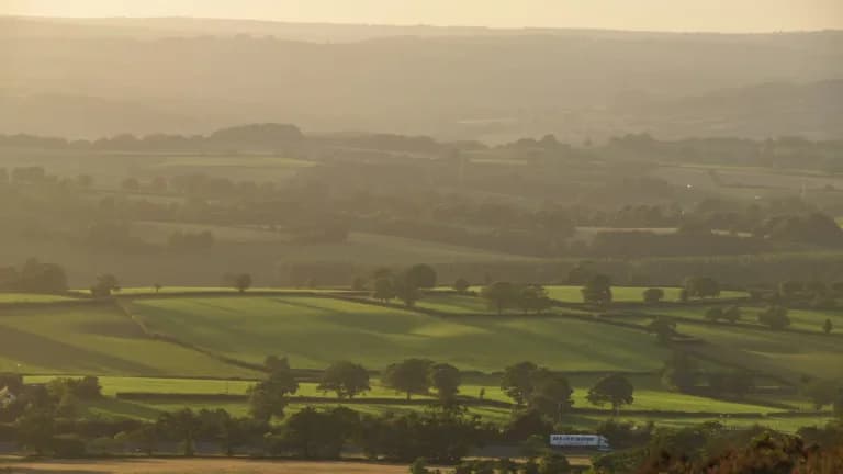 Rolling green fields, hedgerows and trees in the Devon countryside in golden evening light