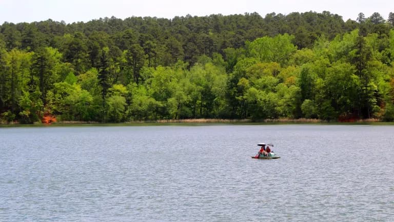 A paddleboat on the lake at Tyler State Park with a pine forest behind it