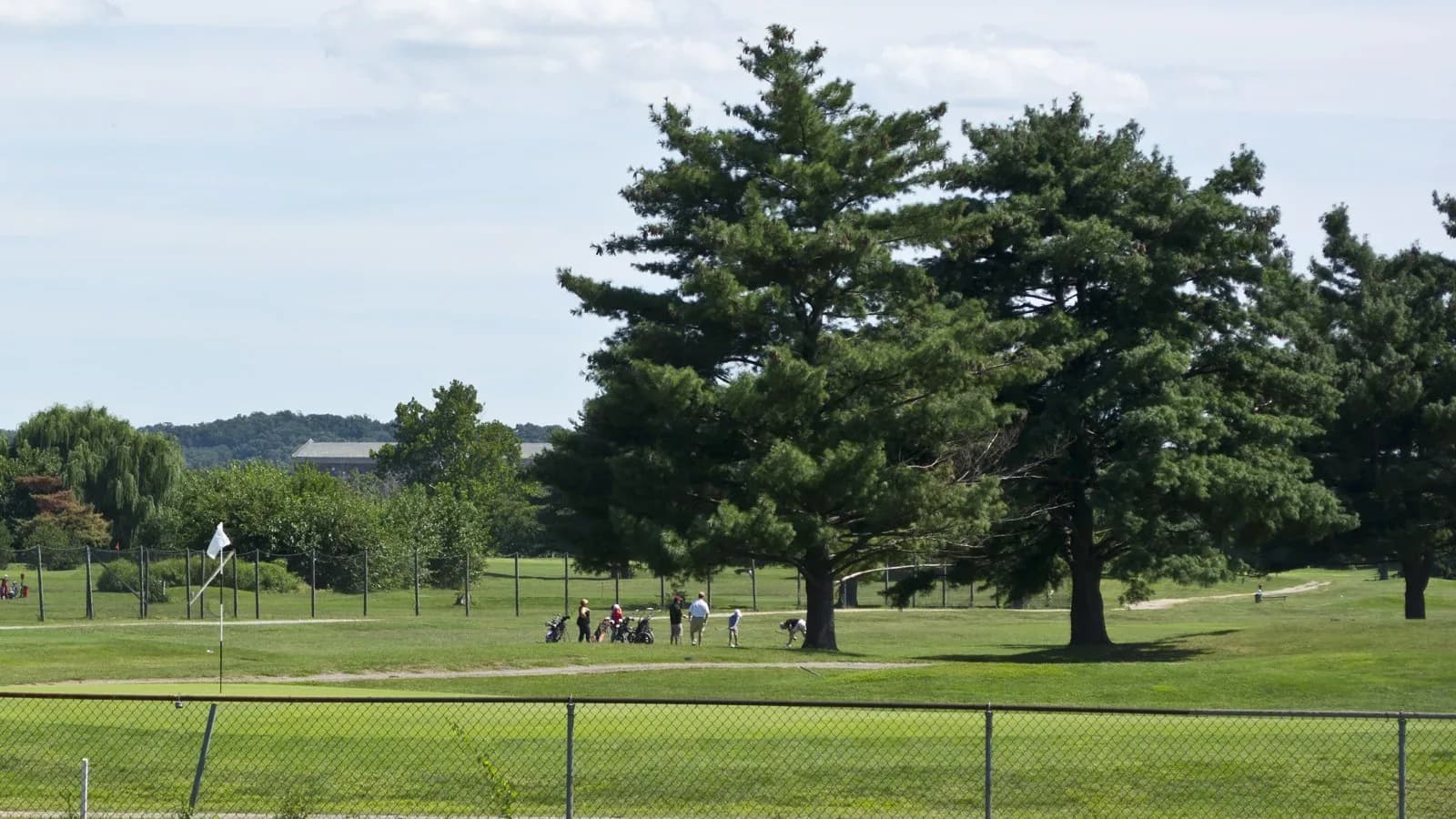 Tall evergreen trees and a flagged green on a fenced public golf course under a pale summer sky, with small distant figures of golfers