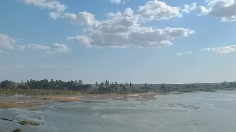 A wide, shallow river with sandbars under a blue sky with white clouds, lined with palm trees and dry bush in coastal Kenya