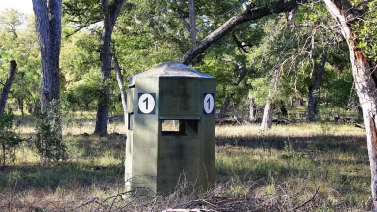 A green numbered deer blind among live oaks and dry grass at South Llano River State Park
