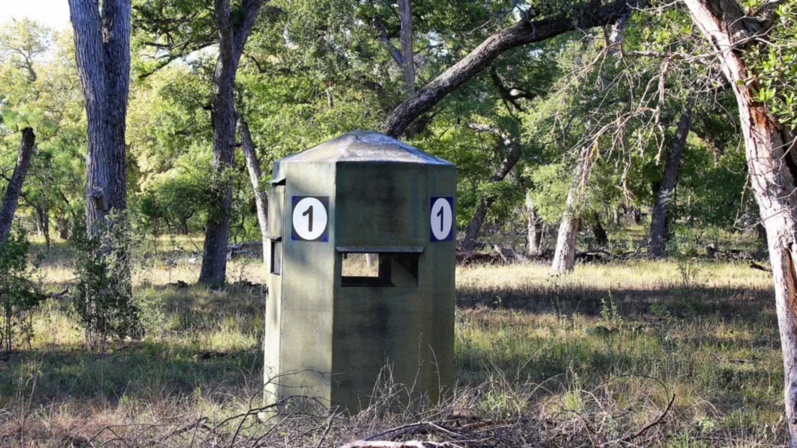 A green numbered deer blind among live oaks and dry grass at South Llano River State Park