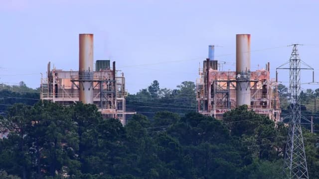 Two natural gas power plant units with tall stacks rise above a pine forest next to a transmission tower