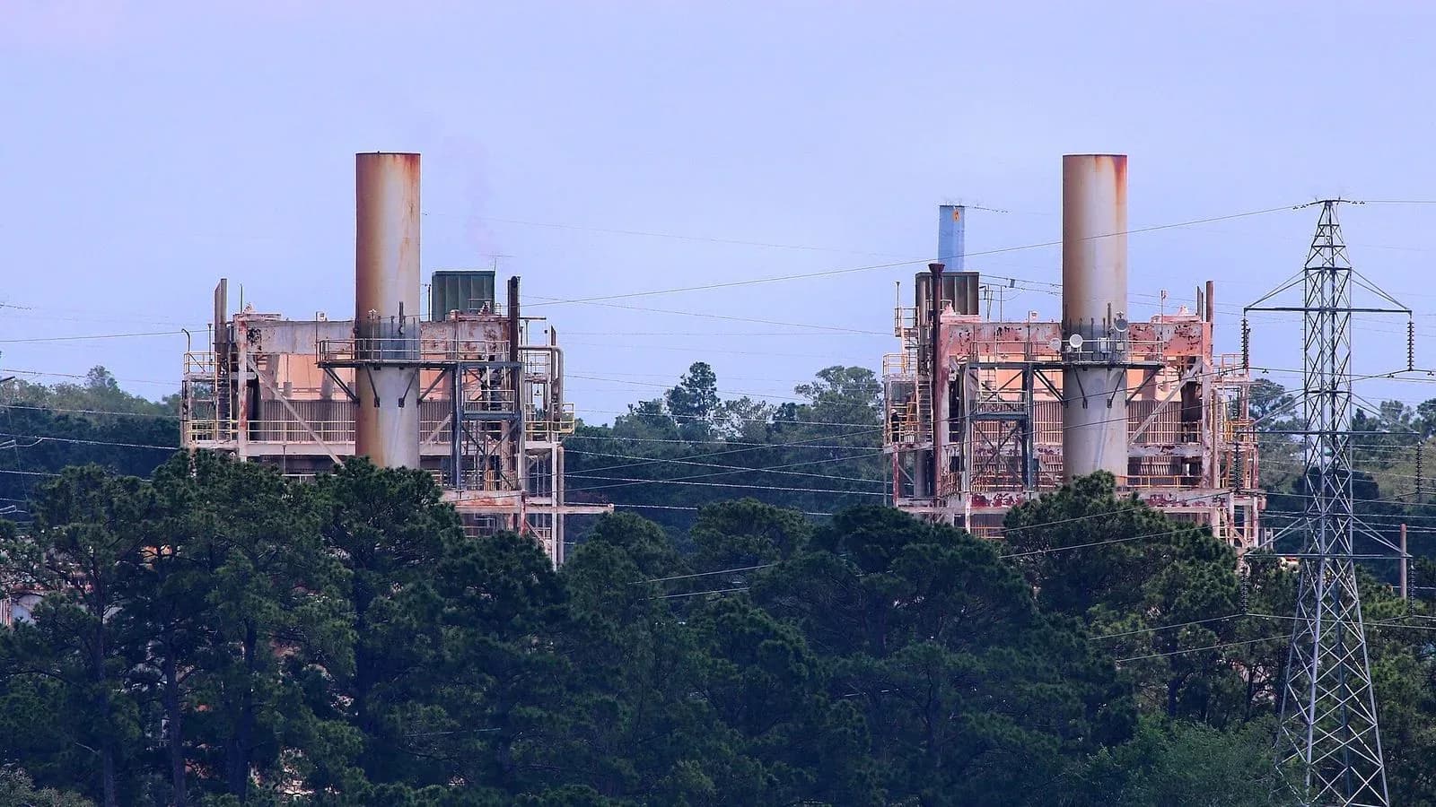Two natural gas power plant units with tall stacks rise above a pine forest next to a transmission tower