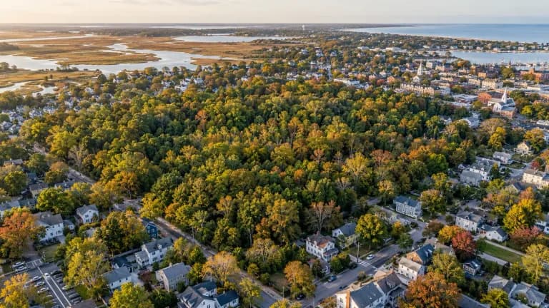 Delaware’s First Urban Forest Was Already Full of Trees. The Hard Part Is Saving It.