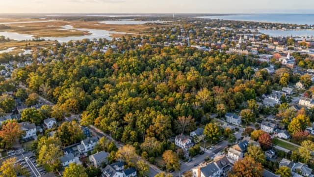 Delaware’s First Urban Forest Was Already Full of Trees. The Hard Part Is Saving It.