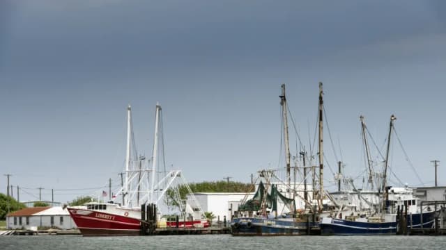 Shrimp boats moored at a dock on the Texas coast