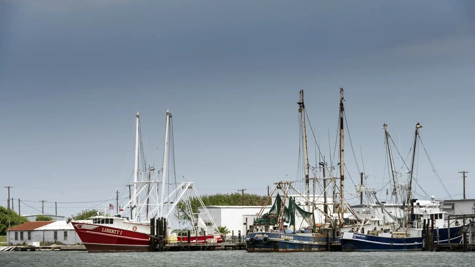 Shrimp boats moored at a dock on the Texas coast