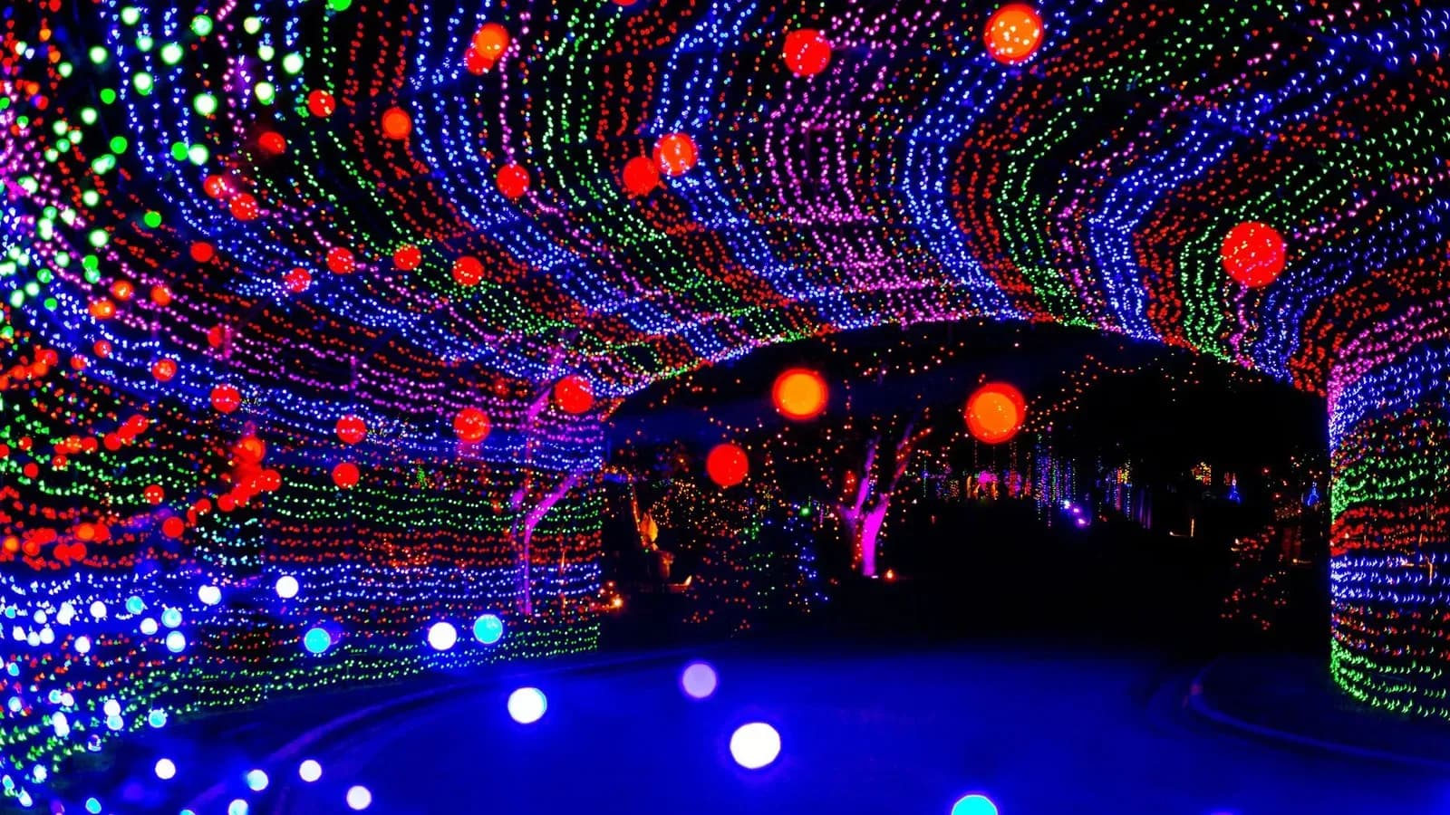62nd Austin Trail of Lights, Austin, Texas
