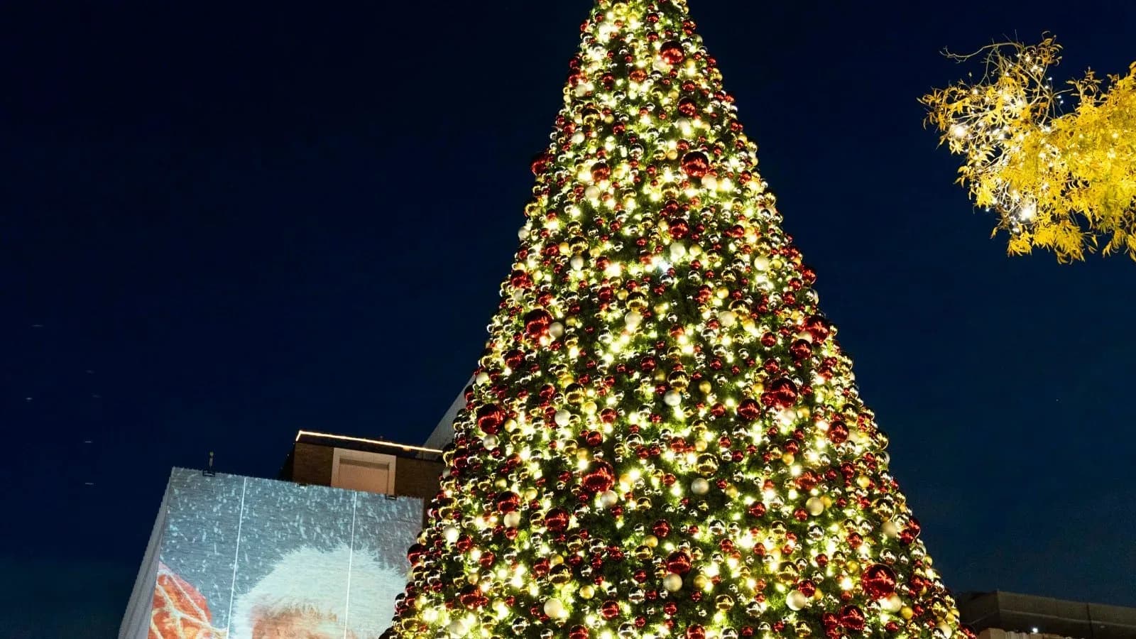 Midland Tree Lighting Ceremony, Midland, Texas