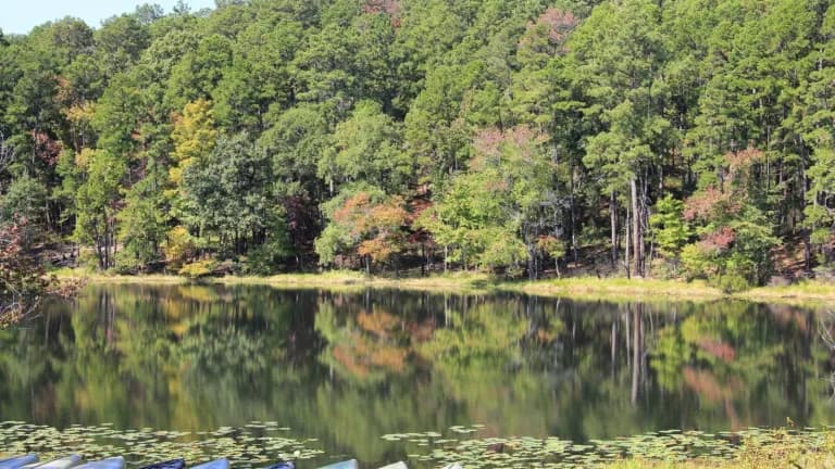 Trees reflected in the lake at Daingerfield State Park