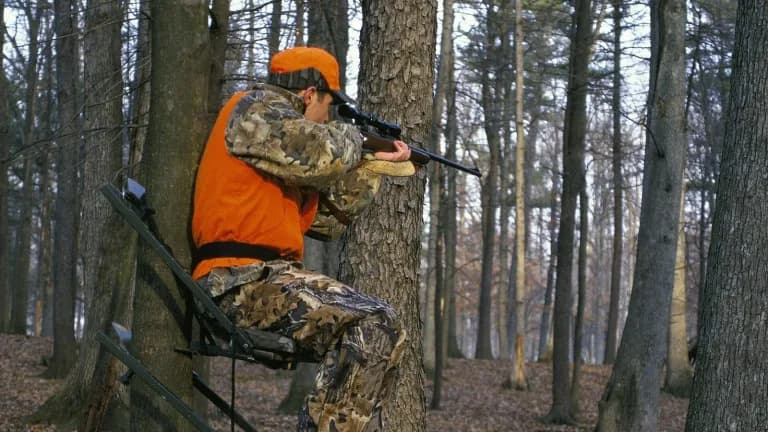 A deer hunter in a hunter orange vest and cap sitting in a climbing tree stand in a winter forest