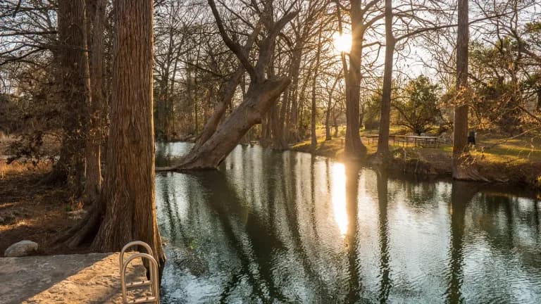 Sunlight through bare cypress trees over the green water of Cypress Creek at Blue Hole Regional Park